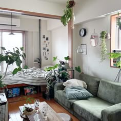 a living room filled with furniture and lots of plants