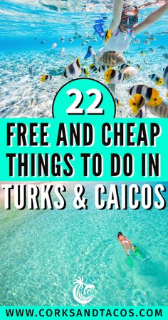 Two images of people snorkeling for free in Turks and Caicos. Snorkeling Turks And Caicos, Grand Turks And Caicos, What To Wear In Turks And Caicos, Grand Cayman Island Things To Do, Turks And Caicos Things To Do In, Turks And Caicos Outfits