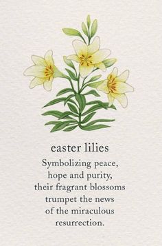 a card with flowers on it that reads easter lilies symbolizing peace, hope and purify, their fragrant blossoms triumphs trumpet the news of the