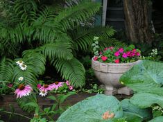 a planter filled with pink and white flowers next to lush green leaves on the ground