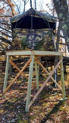 a tree stand in the woods with a mossy cover on it's top