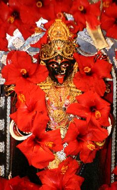 a man dressed in red and gold with flowers around him