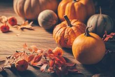 size: 12x8in Photographic Print: Pumpkins for Thanksgiving on Wooden Background by Brebca : Maple Tree Landscape, Thanksgiving Puns, Easy Fall Dinners, Thanksgiving Color, Cool Autumn, Thanksgiving Traditions, Thanksgiving Table Settings, Thanksgiving Feast, Fall Dinner