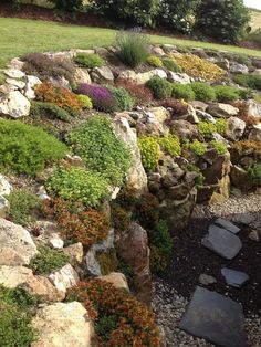 a garden with rocks and plants growing on the side of it, in front of a grassy field