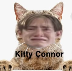 an image of a cat with the caption kitty connor on it's face