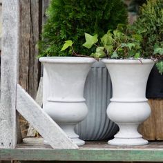 three white vases with plants in them sitting on a wooden shelf next to each other