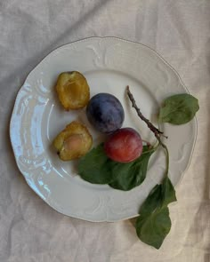 plums, peaches and leaves on a white plate with a leafy twig