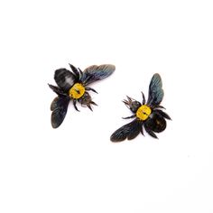 two black and yellow bees on white background