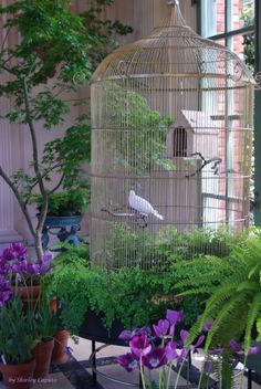 a bird cage sitting on top of a table next to potted plants and flowers