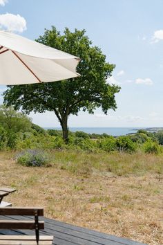 an umbrella sitting on top of a wooden deck next to a tree and ocean in the background