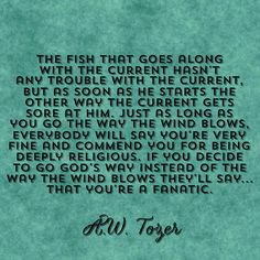 a quote from bill tozer that says, the fish that goes along with the current hasn't any trouble with the current