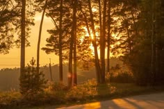 the sun is setting behind some trees on the side of the road in the woods