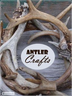 antler crafts with the words antler crafts in front of it and an image of antlers