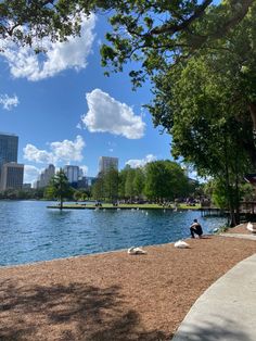 people are sitting on the shore of a lake near some trees and water with buildings in the background