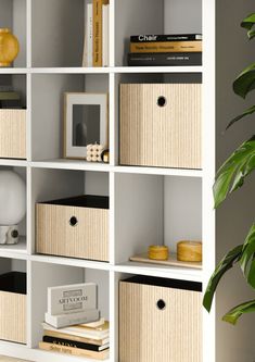 a white book shelf filled with lots of books and other items next to a potted plant