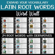 the latin root words word wall