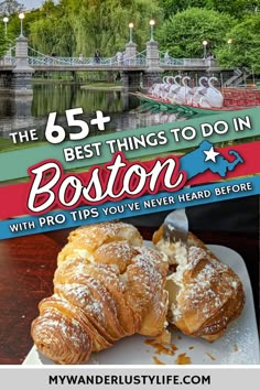 the best things to do in boston with pro tips you've never heard before