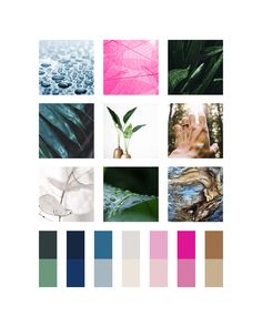 a collage of photos with different colors and shapes on them, including leaves, water droplets