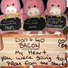 three pink stuffed animals holding signs that say don't go bacon my heart you were going to prom from the start