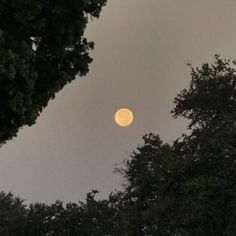 the full moon is seen through some trees