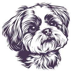 a black and white drawing of a dog's face