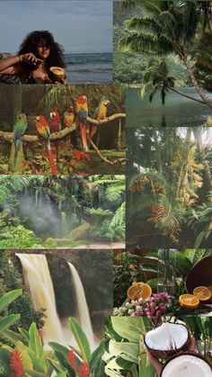 a collage of tropical scenes with coconuts, flowers, and birds in the foreground