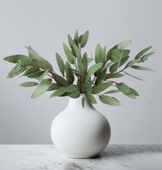 a white vase filled with green leaves on top of a marble counter topped with a plant