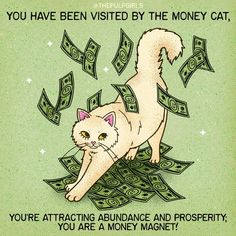 a white cat sitting on top of money with the caption you have been visited by the money cat