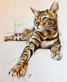 a drawing of a cat laying down on the ground