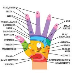 "Brain Reflexology Map" Photographic Print for Sale by ChantelCLucier | Redbubble Kora Organics, Release Tension, Healing Hands, Mental And Emotional Health