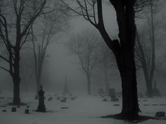 a cemetery in the snow with tombstones and trees covered in snow on a foggy day