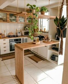 a kitchen filled with lots of counter space and plants hanging from the ceiling above it