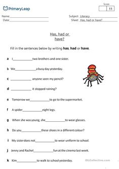 worksheet for reading the spider and other words