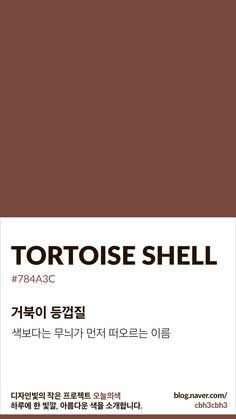 a brown book cover with the words tortoise shell written in english and korean