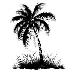 a black and white silhouette of a palm tree