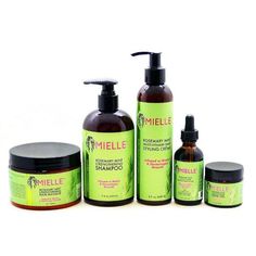 Mielle Rosemary Mint, Mielle Organics, Hair Growth Secrets, Mint Oil, Hair Concerns, Hair Masque, Rosemary Mint, Organic Hair, Hair Growth Tips