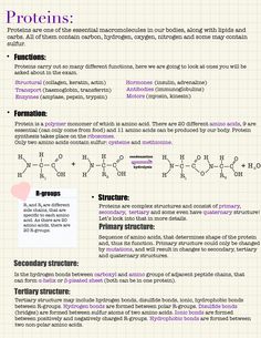 an info sheet describing the different types of vitamins and how they are used to treat