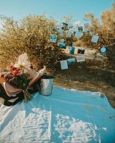 flowers are sitting on the blanket outside in the snow, next to an ice bucket