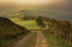 a dirt road in the middle of a lush green field with hills and trees on either side