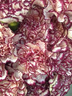 a close up view of some pink and white flowers