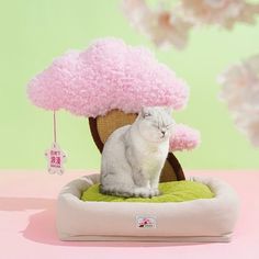 a white cat sitting on top of a cushion