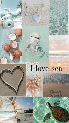 Summer Wallpaper Phone, Summer Beach Wallpaper, Beach Wall Collage, Beautiful Summer Wallpaper, Cute Summer Wallpapers, Collage Background, Iphone Wallpaper Photos, Summer Backgrounds, Preppy Wallpaper