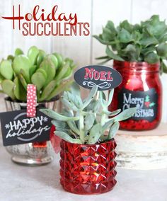 two red vases with succulents in them on a table next to each other