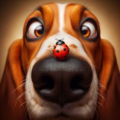 a dog with a ladybug on its nose