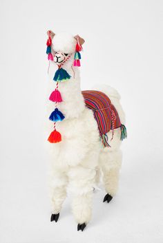 a white llama with colorful tassels on it's back