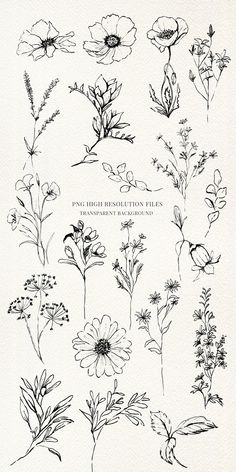 various flowers drawn in black ink on white paper with the words, flower illustrations files