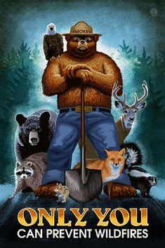 Smokey Bear Cabin Wall Decor, Smokey The Bear, Smokey Bear, Smokey The Bears, Free Canvas, Stock Art, Antique Maps, Art Licensing, Support Artists