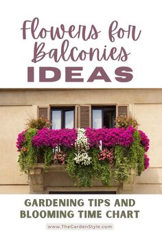 a window box with flowers in it and the words gardening tips and blooming time chart below