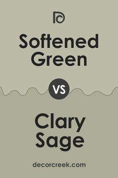 Softened Green vs Clary Sage by Sherwin-Williams Softened Green Sherwin Williams Kitchen, Sherwin Williams Softened Green Cabinets, Clary Sage Sherwin Williams Living Room, Softened Green Sherwin Williams Bedroom, Sherwin Williams Light Sage Green, Sw Clary Sage Coordinating Colors, Popular Green Sherwin Williams, Sage Green Paint Colors Sherwin Williams, Sherwin Williams Sage Green Light