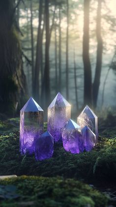 Create a stylish, photorealistic image of small, hexagonal prism shaped amethyst crystals (5-10 cm) surrounded by moss in a forest with tall trees. Soft color palette, no text. Crystal Therapy